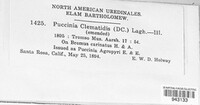 Puccinia clematidis image